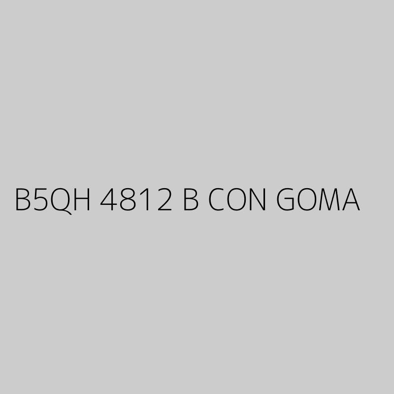 B5QH 4812 B CON GOMA 